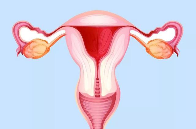 產(chǎn)后子宮復(fù)舊不良是什么鬼？