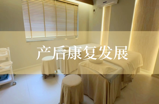 產(chǎn)后康復發(fā)展：行業(yè)前景與設備選擇的雙重考量