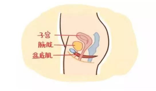 1552119445926199.png 圖片2.png