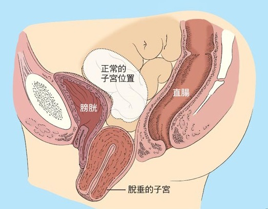 1552119759514919.png 圖片4.png