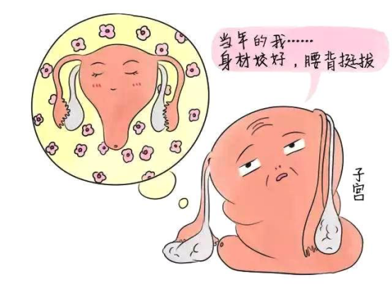 子宮復(fù)舊 子宮復(fù)舊