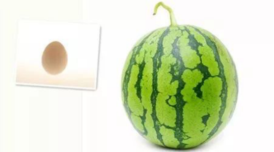 產后恢復 產后恢復