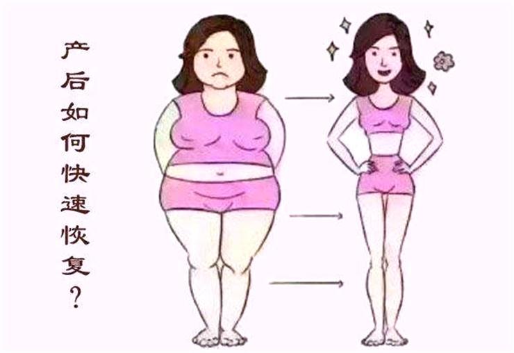 1559701374773577.jpg 產(chǎn)后恢復(fù)項(xiàng)目