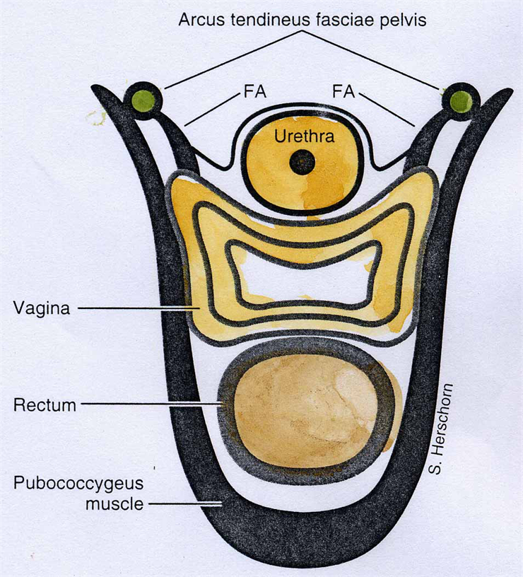 1563950045983599.png 產(chǎn)后盆底康復(fù)治療儀器
