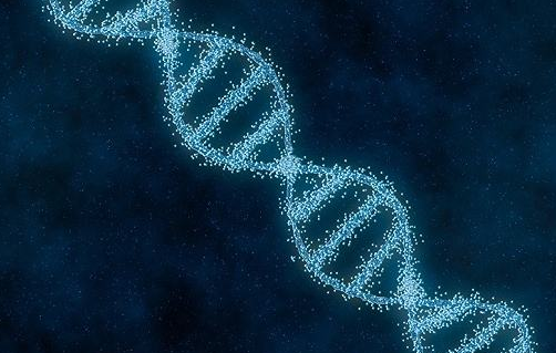 1563954144864030.png 盆底功能障礙