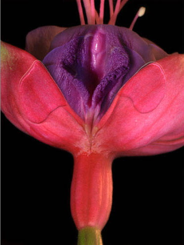 1570498011810782.png 盆底肌修復(fù)