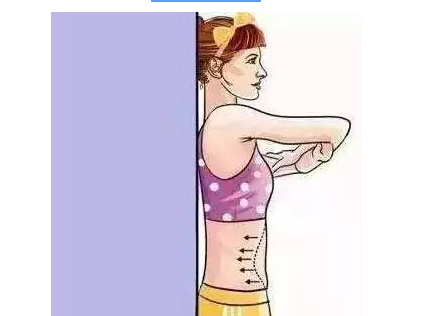 1579331995114510.png 腹直肌分離