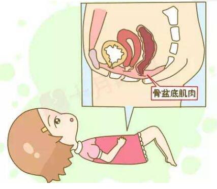 1589181814398305.jpg 盆底康復(fù)儀器.jpg