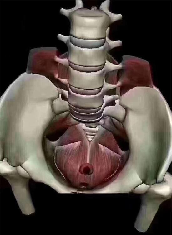 1590131366164006.jpg 32fdb144092a898625149393c05c667.jpg