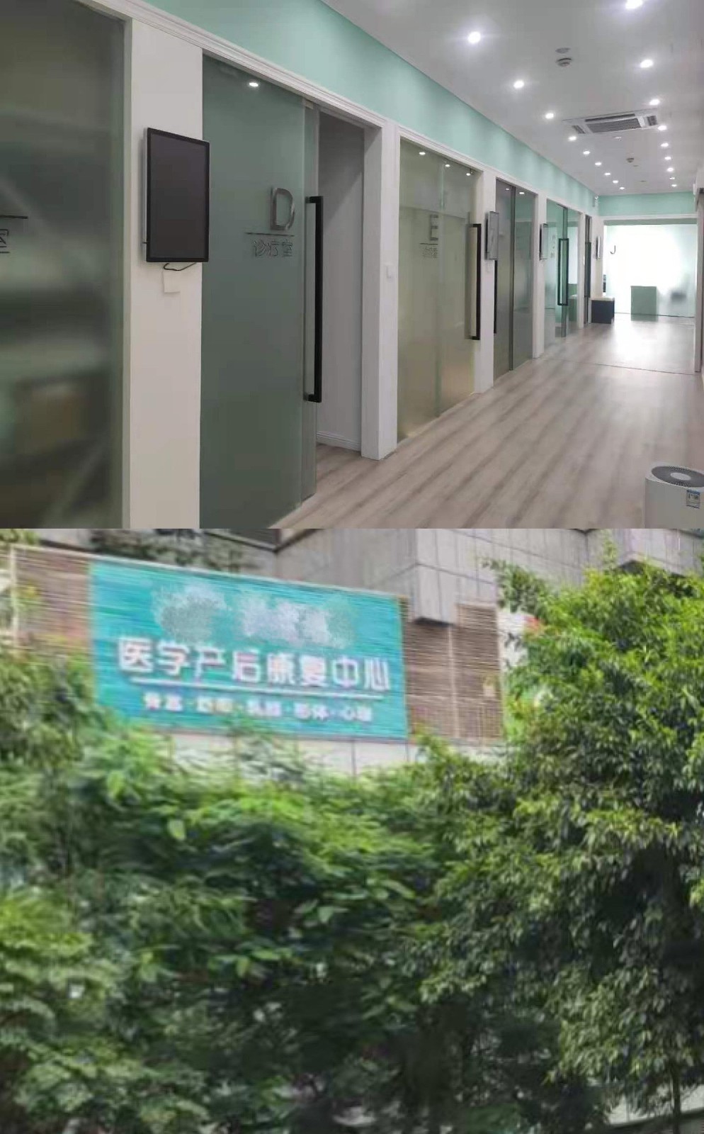 盆底康復(fù)治療儀 盆底康復(fù)治療儀