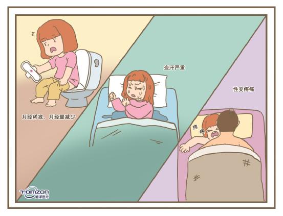 盆底肌恢復儀 盆底肌恢復儀