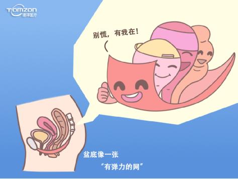 盆底肌修復(fù)儀器 盆底肌修復(fù)儀器