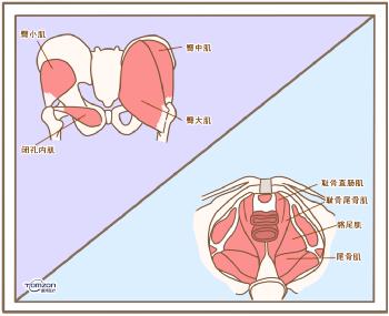 盆底康復(fù)儀器 盆底康復(fù)儀器