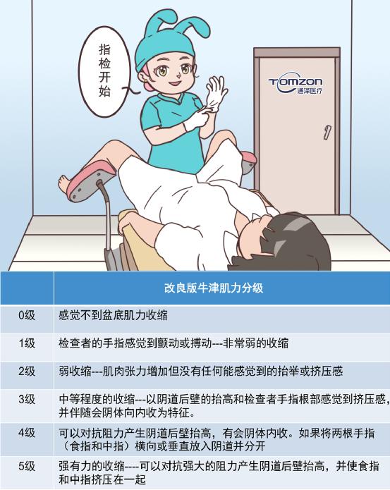 盆底康復(fù)治療儀 盆底康復(fù)治療儀